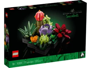 Succulents