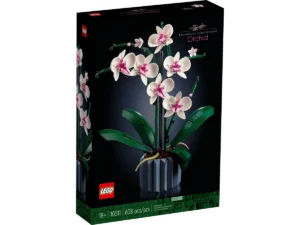 Orchid