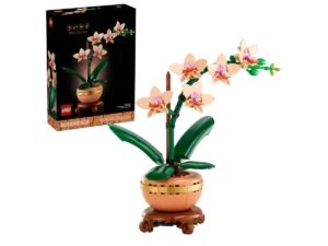 Mini Orchid