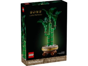 Lucky Bamboo