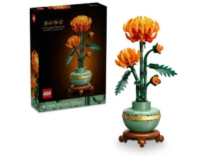 Chrysanthemum