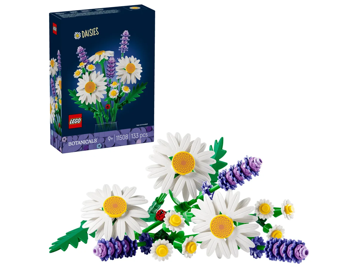 Daisies