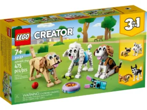 Adorable Dogs