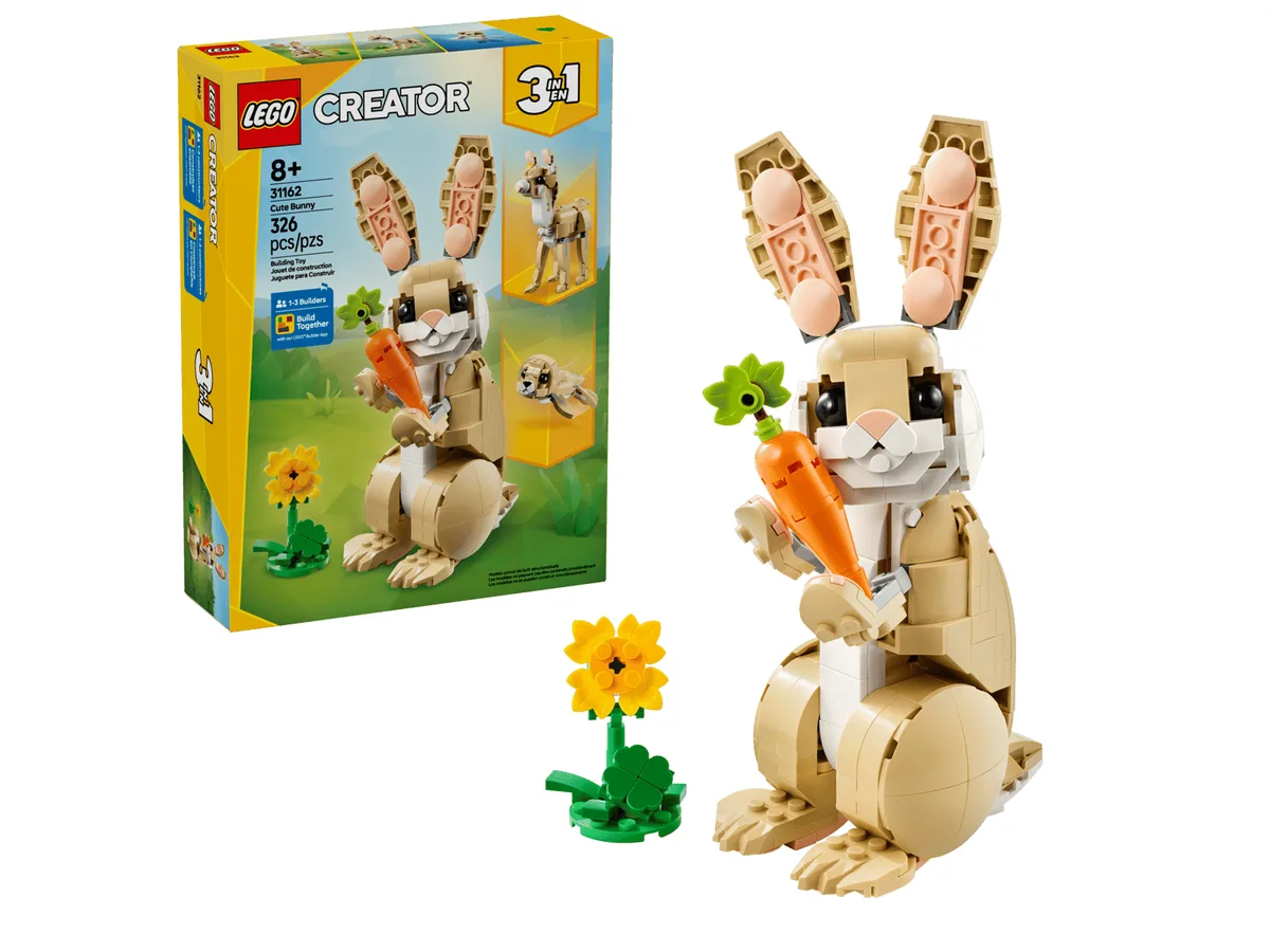 Cute Bunny