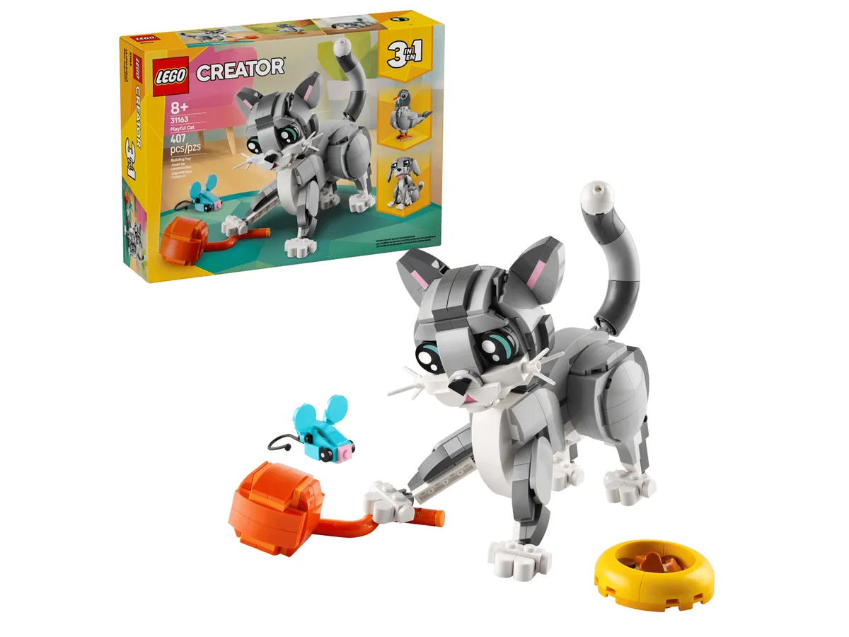 Playful Cat