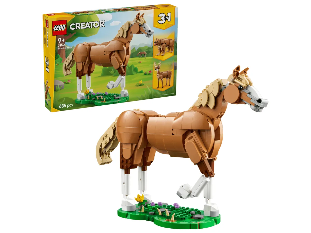 Beautiful Horse