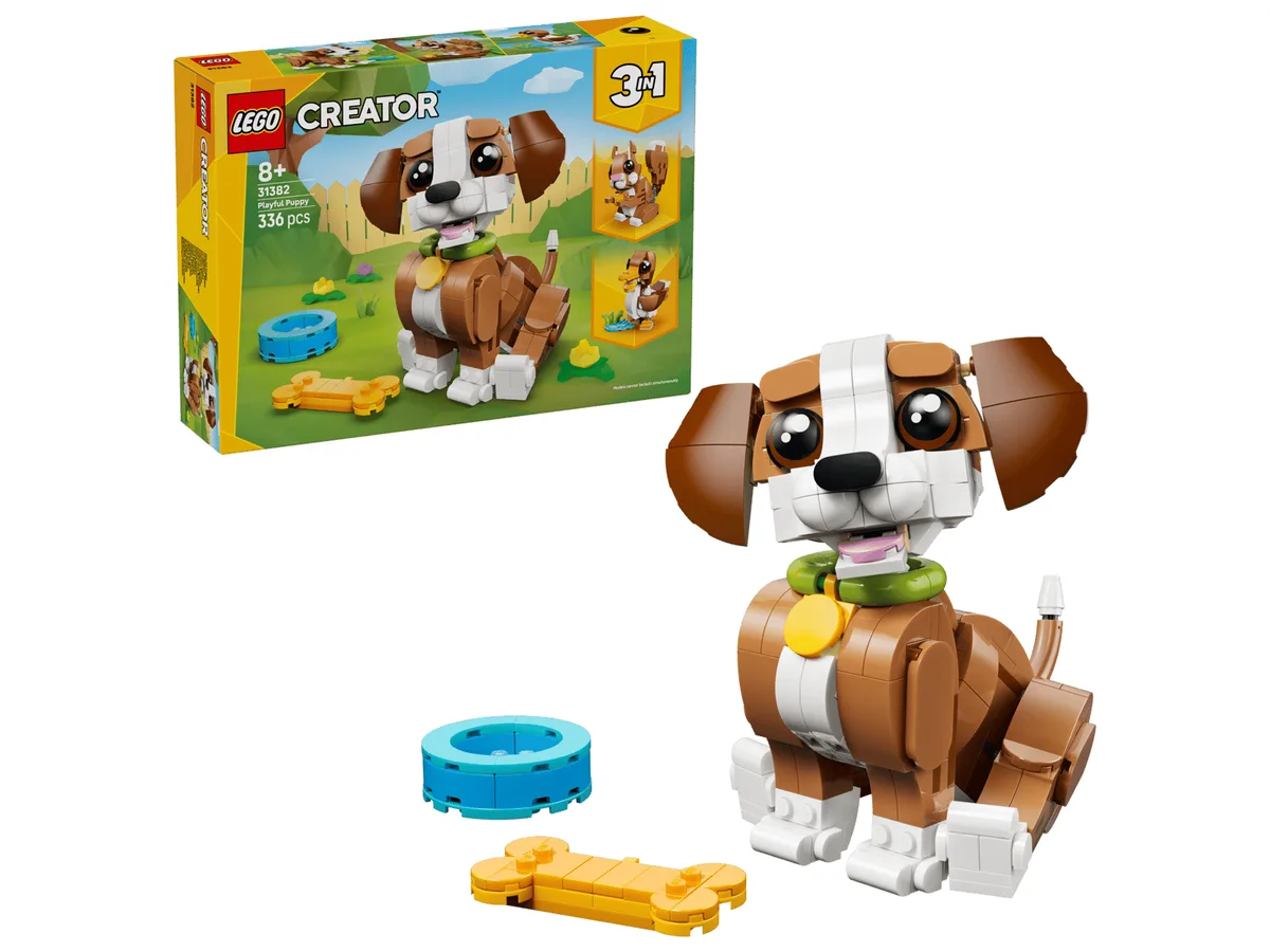 Cute Animals: Playful Puppy Dog